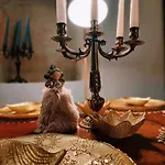 Rachel's House