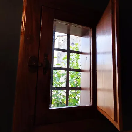 Rachel's House