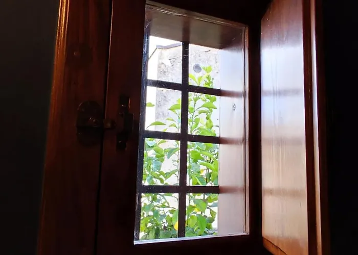 Rachel's House